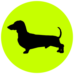 Pakee.app Logo